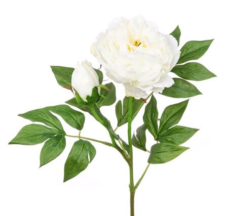 Artificial Peony Spray White