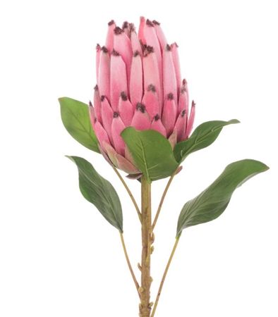 Artificial Protea Pink Spray 71cm