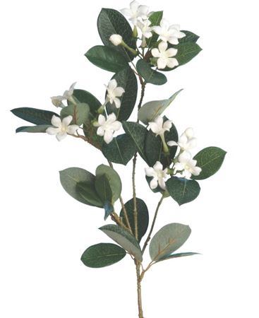Artificial Stephanotis White