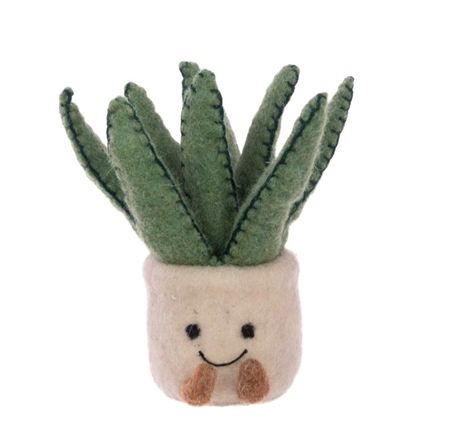 Felt Aloe Pot 16cm