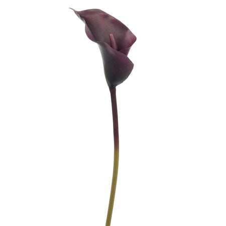 Artificial Calla Lily Aubergine 63cm (PACK OF 2)