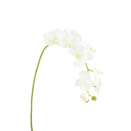 Artificial Phaleanopsis Orchid Cream 99cm