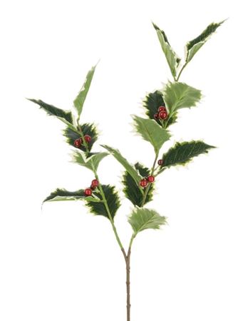 Holly Spray Varigated 72cm