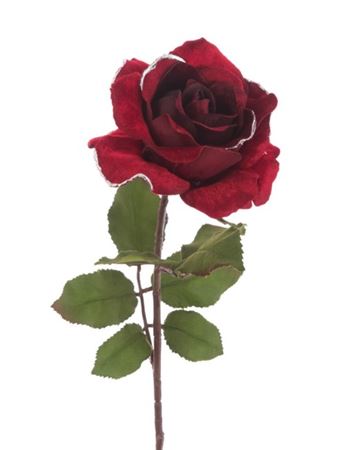 Yuletide Rose Stem Red 61cm