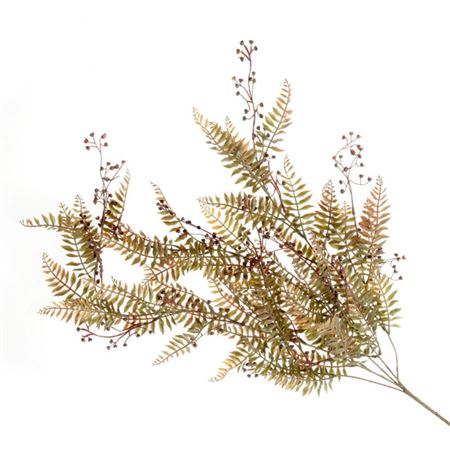 Fern Trail Green Orange