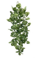 Artificial Money Plant Trail 79cm