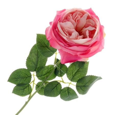 Artificial Garden Rose Hot Pink (PACK OF 2)
