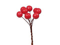 Wired Berry Bundle Red 20x8