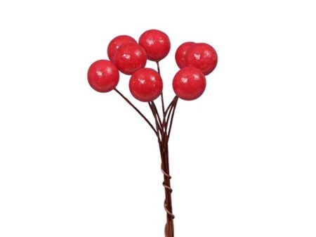 Wired Berry Bundle Red 20x8