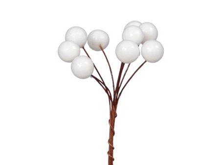 Wired Berry Bundle White 20x8