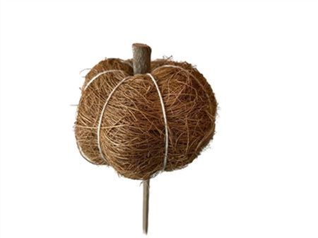 Pick Sisal 6cm Pumpkin 50cm Natural (Pack of 25 pieces)