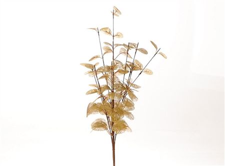 Branch Euca Cinerea Gold 40cm