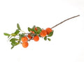 Artificial Branch Clementine 80cm