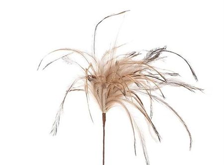 Feather Stem Hen Fontain 60x18cm (PACK OF 4)