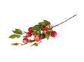 Artificial Apple Granny Red 95cm