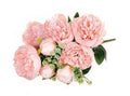 Artificial Bouquet Peony Pink