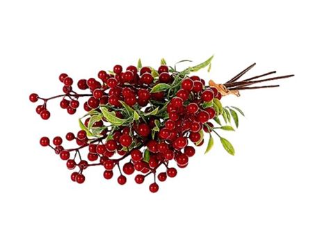 Silk Caper Berry X6 Red 35cm