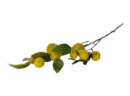 Artificial Pear Comice Green 83cm