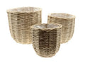 Basket Wicker Set Of 3