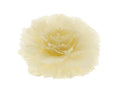 Feather Rose Clip Cream 11cm X6