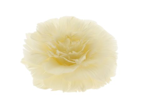 Feather Rose Clip Cream 11cm X6