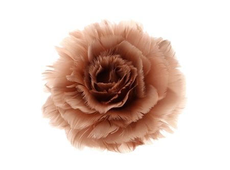 Feather Rose Clip Old Pink 11cm X6
