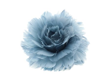 Feather Rose Clip Blue 11cm X6