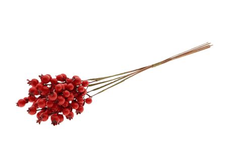 Silk Rosehip X5 Bundle Red 55cm