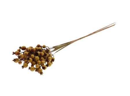 Silk Rosehip X5 Bundle Green 55cm