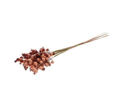 Rosehip X5 Bundle Orange 55cm