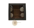 Dried Stem Dandelion 35x11cm X5