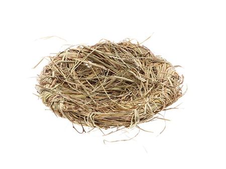 Bird Nest 15x15x6cm (PACK OF 2)