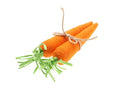 Bunch Carrot X2 8x8x28cm