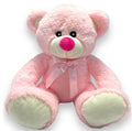 Bear Pink Ribbon 11 Inch
