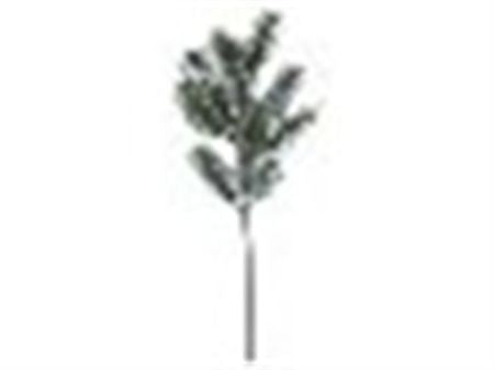 Conifer Branch 52cm