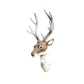 Deer Head 30cm