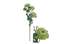 Artificial Ranunculus Green 85cm