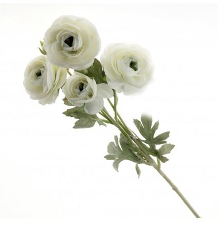 Artificial Ranunculus Spray Ivory (PACK OF 2)