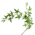 Artificial Ivy Needle Trail Green