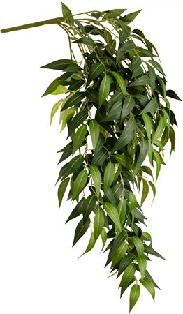 Artificial Ruscus Bush X 7 Branches