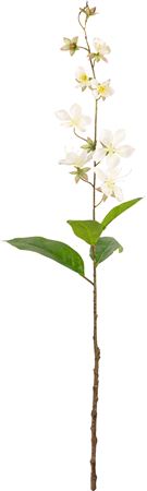 Artificial Clematis Spray White (PACK OF 2)