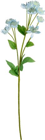Artificial Astrantia Spray 61cm Blue (PACK OF 3)