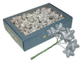 Wired Sparkling Stars Silver18x6 4cm