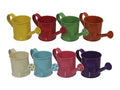 Metal Watering Can Assorted 5cm X8