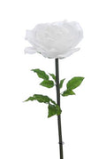 Artificial Giant Rose Frosted White 116cm