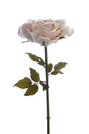 Artificial Giant Rose Velvet Champagne 116cm