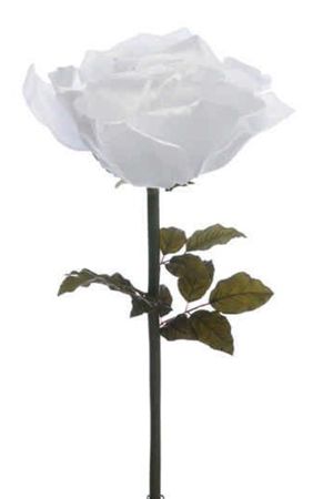 Artificial Giant Rose Velvet Silver 116cm