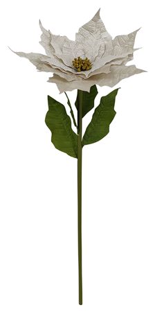 Giant Poinsettia Velvet Champagne 135cm