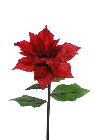 Giant Pionsettia Burgundy 135cm