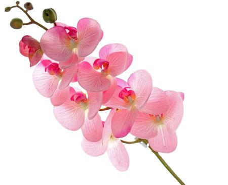 Artificial Phaleanopsis Orchid Pink 99cm